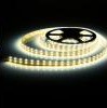 LED pásek 12V neutrální bílá 4,8W/m bez krytí